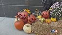 Dolcetto o scherzetto? È la notte di Halloween