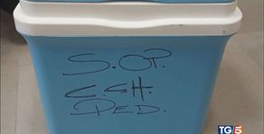 Una drammatica catena di errori