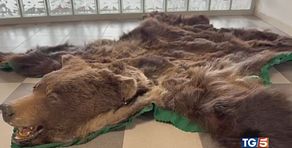 L'incredibile bazar nei bagagli dei passeggeri