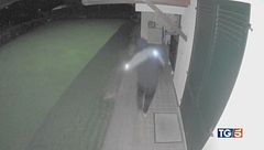 Rapine violente, terrore in casa