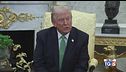 Trump contro la Nato: "Non ci serve"