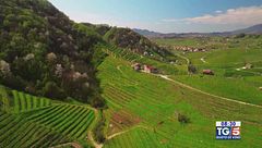 Gusto di Vino: il prosecco superiore