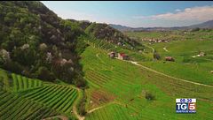 Gusto di Vino: il prosecco superiore