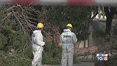 Pioggia e vento forte due vittime in Puglia