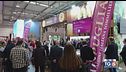 Gusto DiVino: Olio al Vinitaly