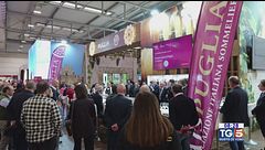 Gusto DiVino: Olio al Vinitaly