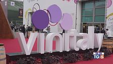Gusto di vino -  Le nuove proposte dal Vinitaly