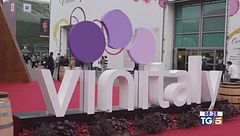 Gusto di vino -  Le nuove proposte dal Vinitaly