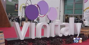 Gusto di vino -  Le nuove proposte dal Vinitaly