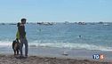Sole, mare, eventi si chiude il Ponte