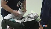Droghe etniche è boom in Italia