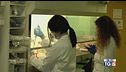 Hantavirus: salgono i contagi