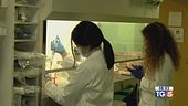 Hantavirus: salgono i contagi