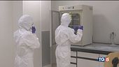 Hantavirus, "In Italia situazione tranquilla"