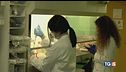 Hantavirus, negativi i 4 sospetti in Italia