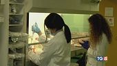 Hantavirus, negativi i 4 sospetti in Italia