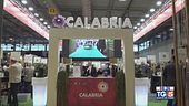 Calabria, enogastronomia e bellezza