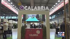 Calabria, enogastronomia e bellezza
