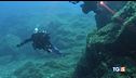 Maldive, la verità nelle telecamere?