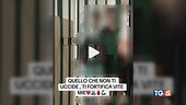Il video dal carcere dei giovani violenti