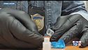 Maxi sequestro di droga, arrestate 1300 persone