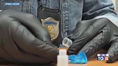 Maxi sequestro di droga, arrestate 1300 persone