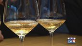 Gusto Di VIno - Vini del Garda