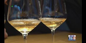 Gusto Di VIno - Vini del Garda