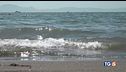 Maltempo al nord, sole e caldo al sud
