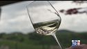 Gusto diVino: Valdobbiadene Prosecco Superiore DOCG