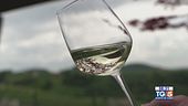 Gusto diVino: Valdobbiadene Prosecco Superiore DOCG