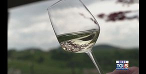 Gusto diVino: Valdobbiadene Prosecco Superiore DOCG