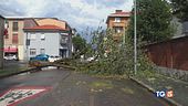 Nord, piogge e grandine Bomba d'acqua a Milano