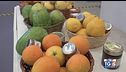 Gusto Verde: A Napoli il salone della dieta mediterranea