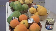 Gusto Verde: A Napoli il salone della dieta mediterranea