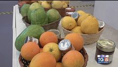 Gusto Verde: A Napoli il salone della dieta mediterranea