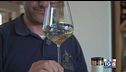Gusto di Vino - Il Lugana