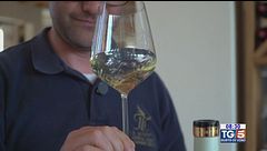 Gusto di Vino - Il Lugana