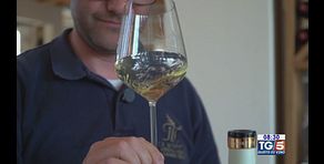 Gusto di Vino - Il Lugana