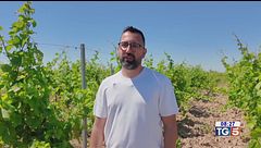 Gusto Di Vino: doc Salice salentino e nel territorio del Negroamaro