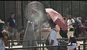 Fa troppo caldo ecosistema in crisi