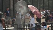 Fa troppo caldo ecosistema in crisi