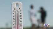 Oggi picco del caldo Oms: 1300 i morti