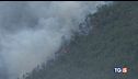 Allerta per gli incendi nella morsa del caldo