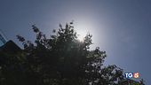 Afa, tempeste e caldo record