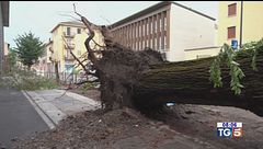 Temporali e nubifragi, un morto nel modenese