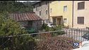 Salva bimbo dal lupo la morte del cane eroe