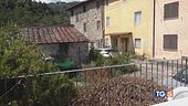 Salva bimbo dal lupo la morte del cane eroe
