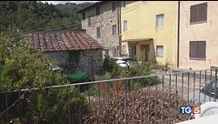 Salva bimbo dal lupo la morte del cane eroe
