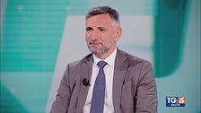 Il tumore al pancreas e i funghi di mare